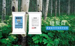 生產(chǎn)新型墻體材料技術(shù)和政策研究